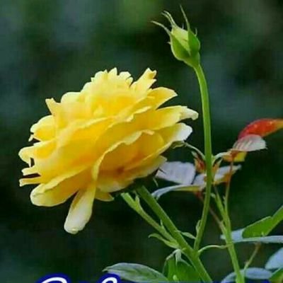 Manogar19315086's profile picture. I need friends