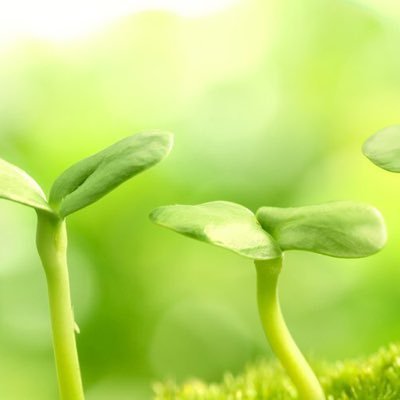 SomoroLove's profile picture. ▷成人腐 好きな漫画と本やBLについて 滾って余ってきたらつぶやきに https://t.co/y6fL6MTI3K