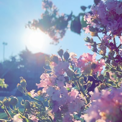 memeabdalr7man's profile picture. هي أشياء لا تٌشترى*