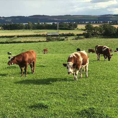 Agriculture courses and activities at Dundee and Angus College
