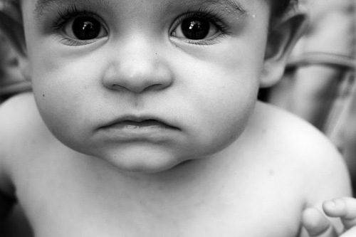 minicake's profile picture. peanut butter and maple syrup