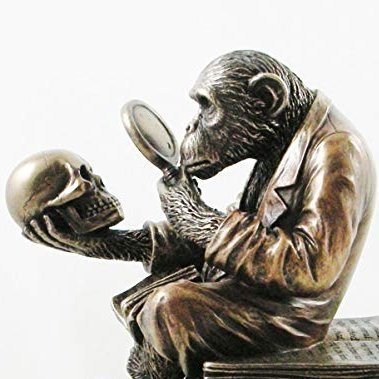 th_theudric's profile picture. 🇫🇷"Un guerrier qui n'a rien à perdre n'a besoin que d'un bâton pour gagner" Tous les êtres humains naissent libres et égaux en dignité et en droits...