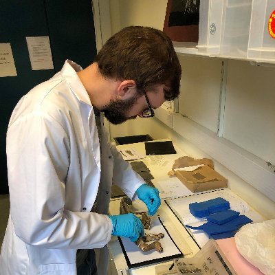 I'm a student on the Conservation Practice MSc at Cardiff University, spending my free time learning Welsh, playing guitar, birding and taking photos!