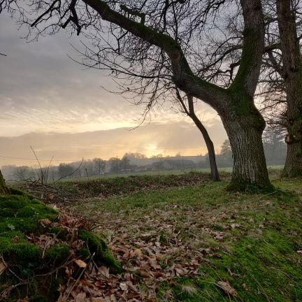 pietrobigAsia's profile picture. Politique Journalistes politiques Élus & partis politiques Actualités Journalistes & éditorialistes Presse internationale Lecture Culture Photographie Musique