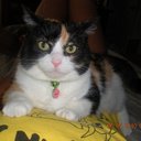 Kitty Richardson - @CatNamedKitty - Twitter