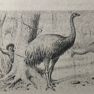 runrin_cham72's profile picture. ロシアとソ連史が好き (18) アイコンはみんな大好きジャイアントモア