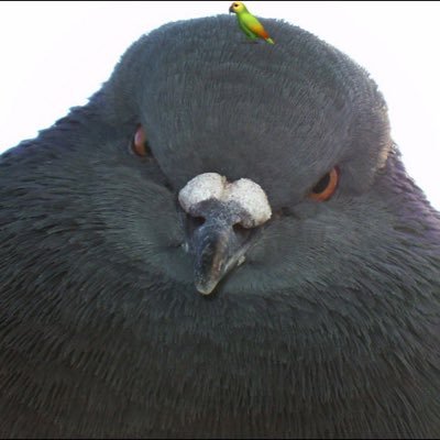 アクロの岡さんのプロフィール画像