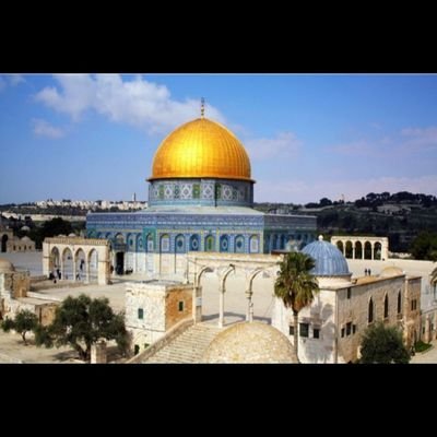 sohrab70161771's profile picture. القدس لنا