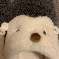 チョロ山 (@tycdn_5) 's Twitter Profile