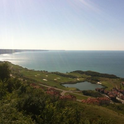 koupenov's profile picture. Tech, healthcare and value investing enthusiast, fan of chess