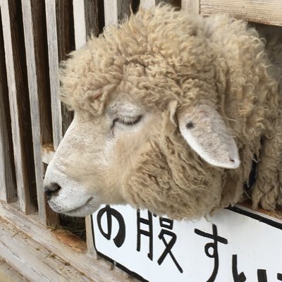 みづきいちごさんのプロフィール画像