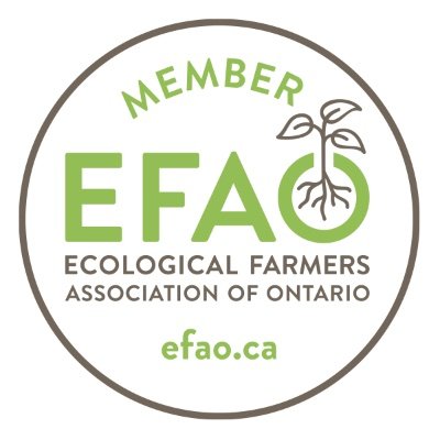 Established in 1979 by farmers for farmers, EFAO is a membership organization that focuses on farmer-led education, research and community building