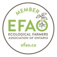 EFAO(@EFAO2) 's Twitter Profile Photo