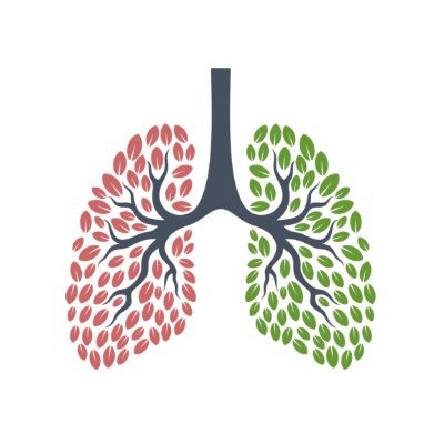 Our lab aims to understand lung biology and regeneration and find new treatments for #IPF #CysticFibrosis #Alpha-1