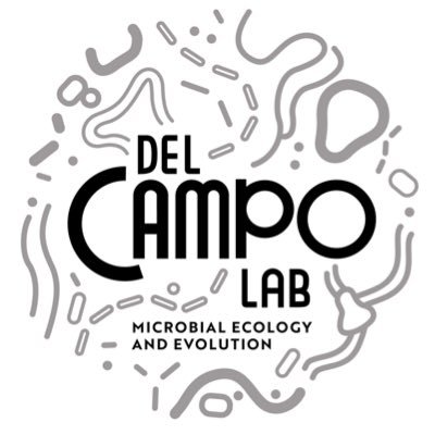 Transatlantic Microbial Ecology and Evolution Lab at @IBE_Barcelona & @MiamiRosenstiel led by @fonamental. Studying marine animal holobionts🦠🪸🌊