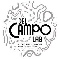 del Campo Lab(@delCampoLab) 's Twitter Profile Photo