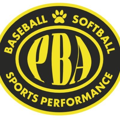 Puma Baseball Academy is an elite baseball and girls fastpitch training organization located in Kenosha,Wi. teams from 9-18u.