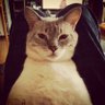 takaichiyoung's profile picture. ありとあらゆる種類の言葉を知って何も言えなくなるなんて