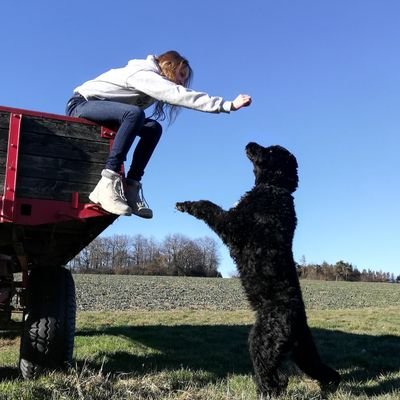 Jurist. Habe 2 Kinder, eines ohne und eines mit Fell. Bin eine Mischung aus Brad Pitt und dem Glöckner von Notre Dame. HSV-Fan, leider.