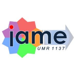 IAME UMR_S 1137 hosts more than 150 researchers working on #Infection #Antimicrobials #Modelling #Evolution @Inserm @Univ_Paris @univ_spn #IDTwitter #AMR #IPC