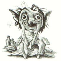 winkylovesdobby's profile picture. Winky is a house elf, living in the kitchens at Hogwarts.Roses are red, violets are blue, insult Harry Potter and Winky'll cut you.