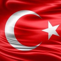 Anıl🇹🇷🇵🇸(@anilballioglu) 's Twitter Profile Photo