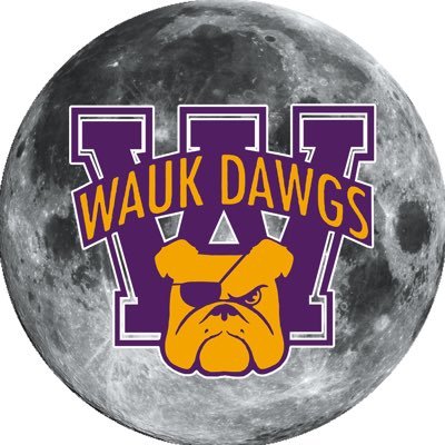 All we want to do is bring some spirit to Waukegan High School. Gonna make some big changes. Lets be proud of our Highschool! #waukdawgs Snapchat- @Waukdawgs