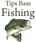 Tips and information to help you catch more trophy Bass.