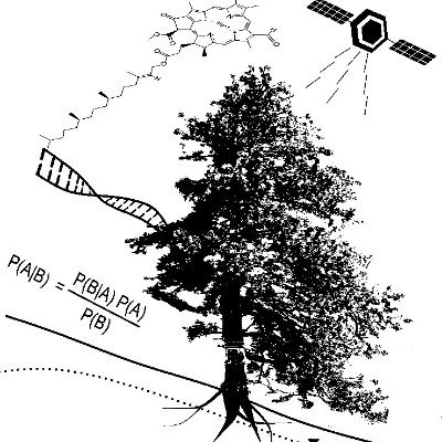 EwersLab's profile picture. Dr. Ewers investigates how plants control energy flows and mass cycles at scales ranging from organs to landscapes.
