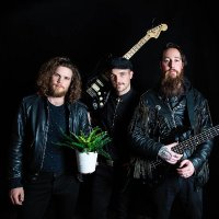 Small Town Artillery (@hornsandheart) 's Twitter Profile
