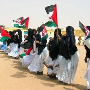 Sahara libre!!! viva rasd western sahara sahara occidental البوليساريو الصحراوي لبوليزاريو