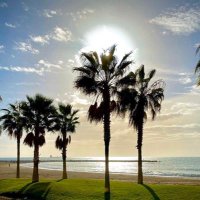 Le Petit Journal Andalousie (@lpj_andalousie) 's Twitter Profile Photo