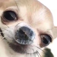 PolishPromoAcc (@polishpromoacc) 's Twitter Profile