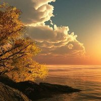 human (@waseem37540891) 's Twitter Profile