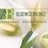 abbloemen's profile image