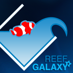 ReefGalaxy's profile picture. Questions for reefers - Answered by reefers