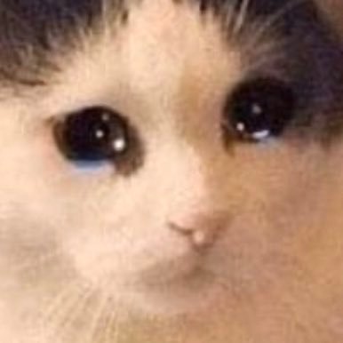 CreateReality5's profile picture. 