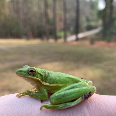 bayley_sara's profile picture. Mom, wife, scientist, beekeeper, other stuff