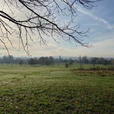 mora_peris's profile picture. 