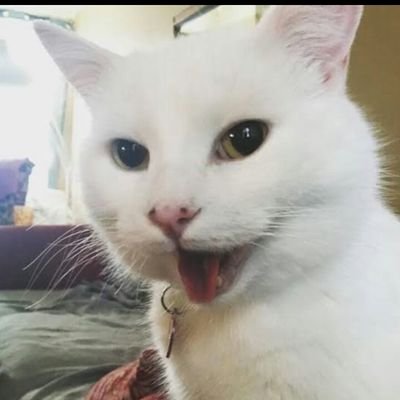 CSousa04's profile picture. solidão ne minha filha