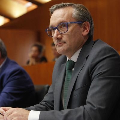 Alcalde de Lidón.
Presidente del Partido Popular de Teruel.
Portavoz de Vertebración, Movilidad y Vivienda del Grupo Popular en las Cortes de Aragón.