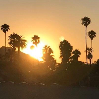 doktordunc's profile picture. Writer, musician, teacher and social historian.