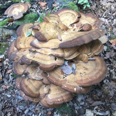 Je suis céréaliers depuis plus de 30 ans
J’ai repris l’exploitation des mes parents qui appartenait à mes grands-parents