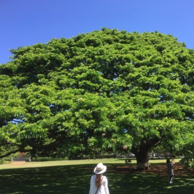 nh11022000's profile picture. サラリーマン+不動産+YouTube 副業で生活の柱を太く！5歳3歳の2児子育て中。やり残したことないようダッシュしてます🏃‍♀️💨