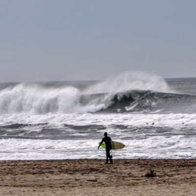 University of Cambridge, Dept. Plant Sciences. Interested in fire and ecosystem ecology. surfing rules.