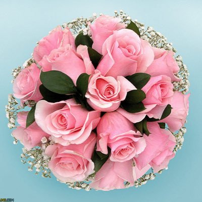 SayakaTakahash3's profile picture. 