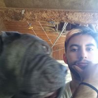 Bogado. (@tomasbogado17) 's Twitter Profile