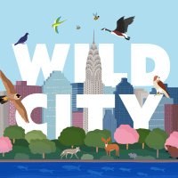 Wild City NYC(@wildcitynyc) 's Twitter Profile Photo