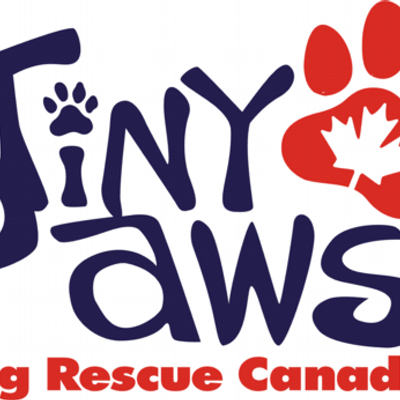 tiny paw rescue