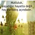Hakan Albayrak (@hakanal09748991) Twitter profile photo Hakan Albayrak (@hakanal09748991) Twitter profile photo